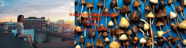 гашик Михайлов