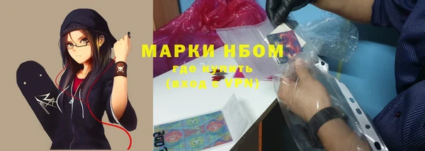 гашик Михайлов