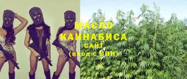 гашик Михайлов