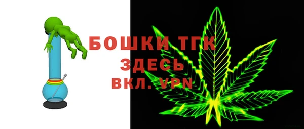 гашик Михайлов