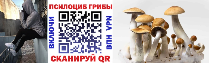 Галлюциногенные грибы Magic Shrooms  Хадыженск 